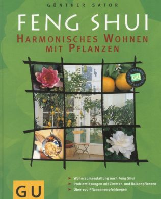 Feng Shui
