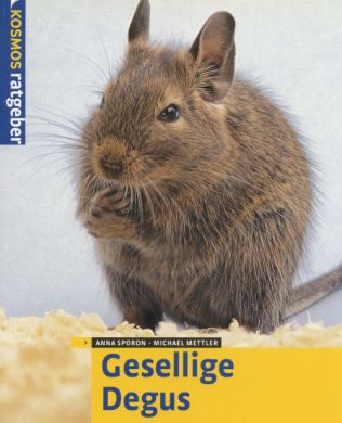 Gesellige Degus
