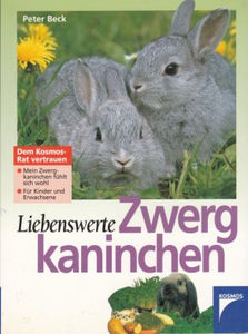 Zwergkaninchen