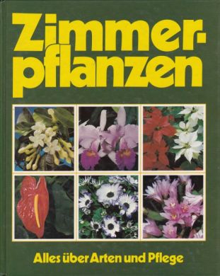 Zimmerpflanzen