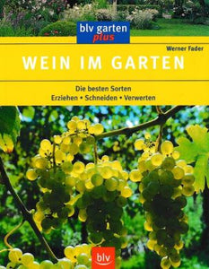 Wein im Garten