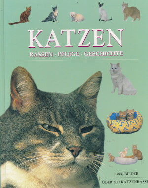 Katzen von Michael Pollard