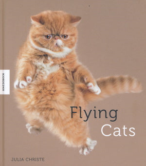 Flying Cats von Julia Christe