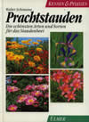 Prachtstauden